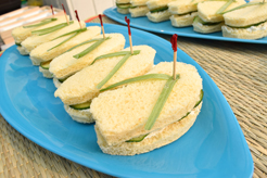 MOMENTUM AND SOURCE DIRECT NW